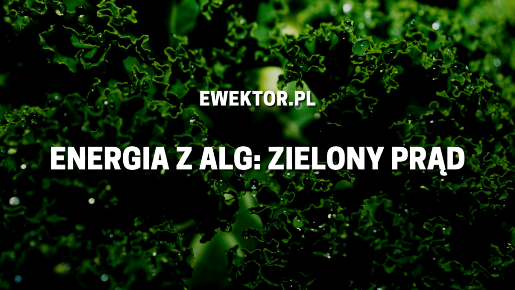 Energia z alg