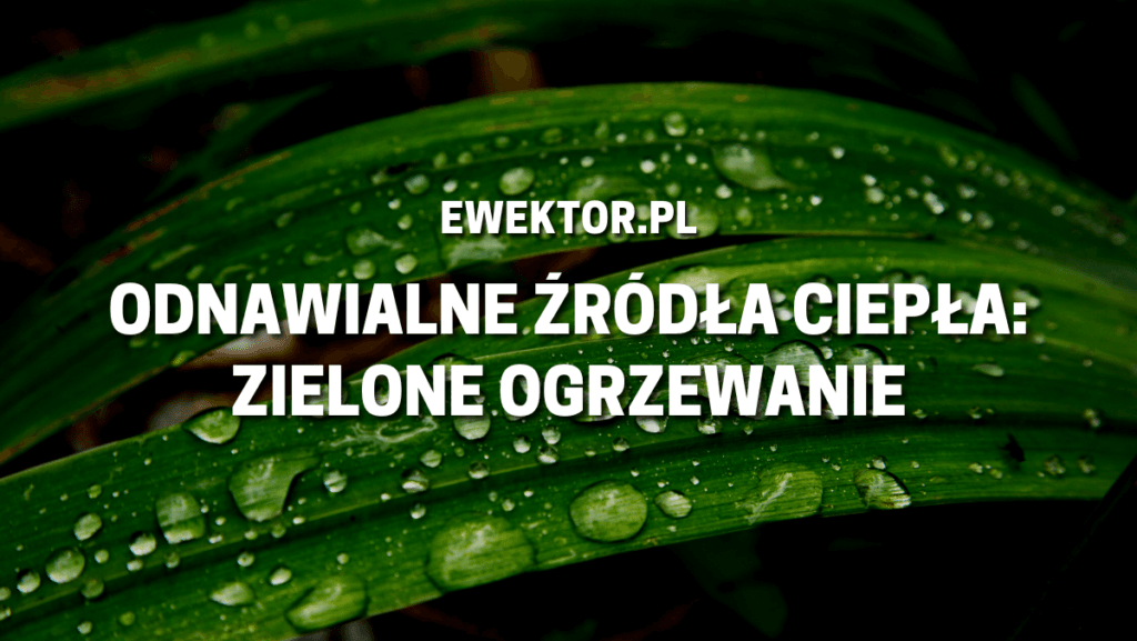 Odnawialne źródła ciepła
