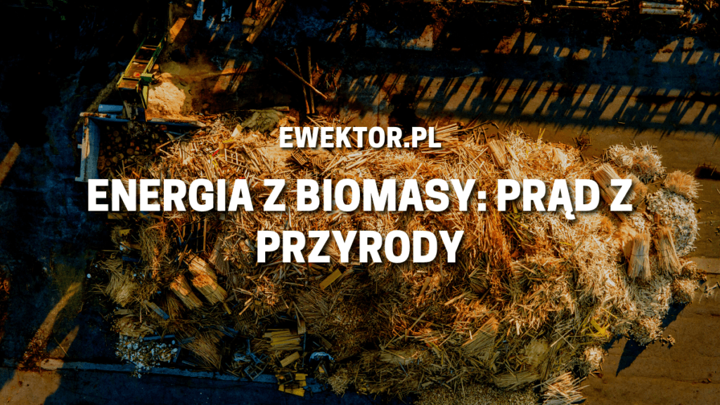 Energia z biomasy